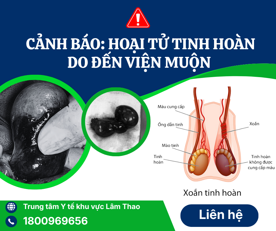 Cảnh báo: Hoại tử tinh hoàn do đến viện muộn